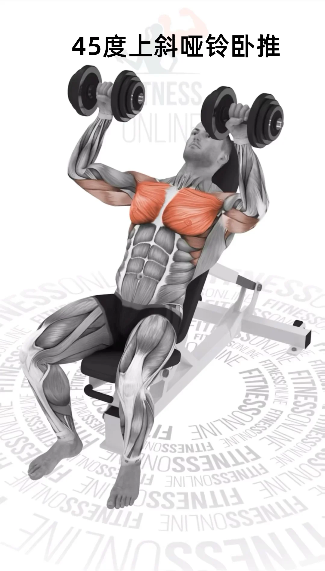 被这组哑铃练到了！🔥