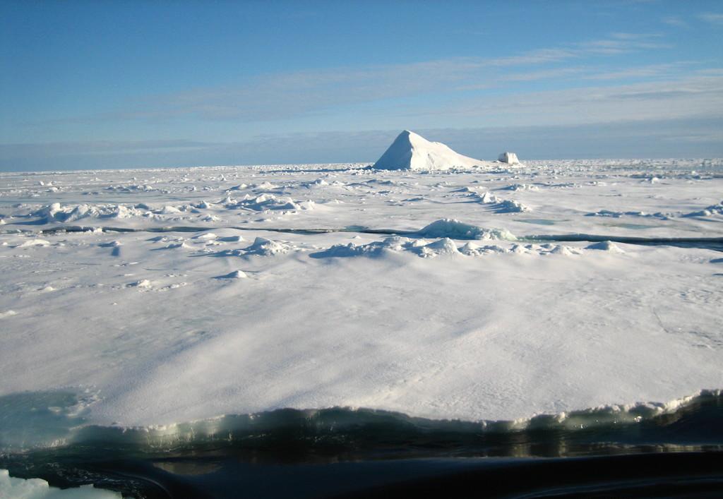 2016年，俄罗斯一支探险队，进入到了北极附近岛屿。冰原深处的金属罐头在阳光