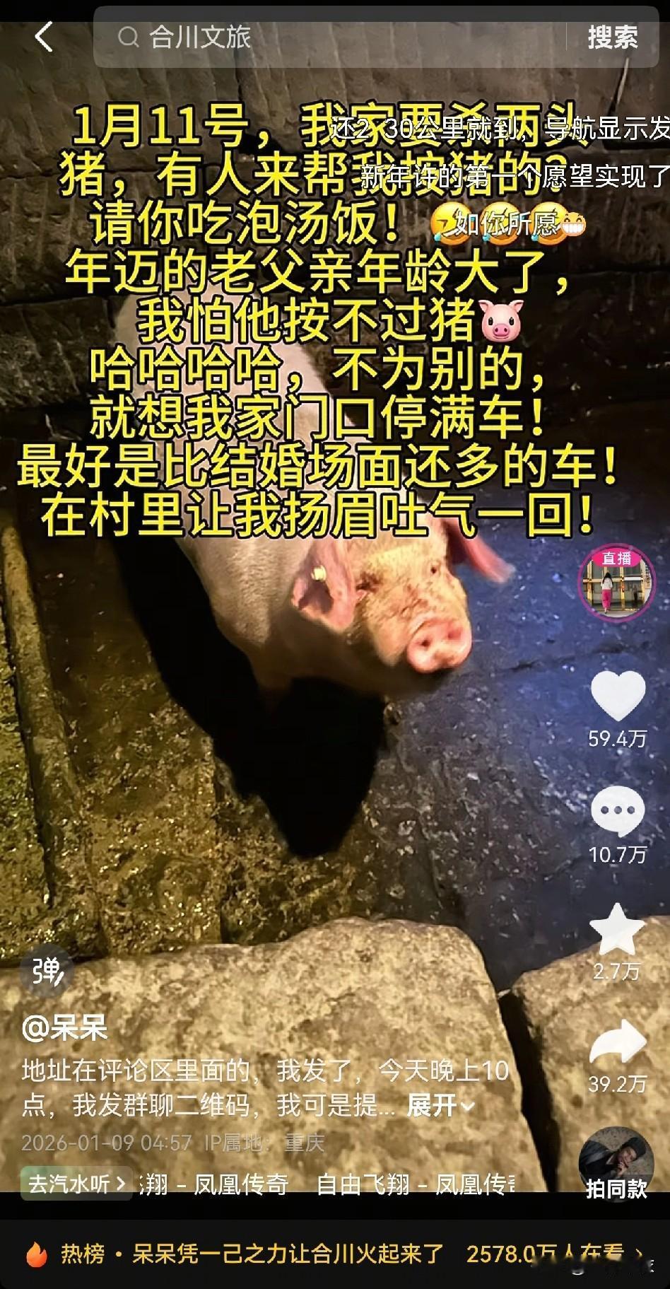 一生爱凑热闹的中国人，网友呆呆，发了帖子，说请网友1月11日来按猪，就为了让门