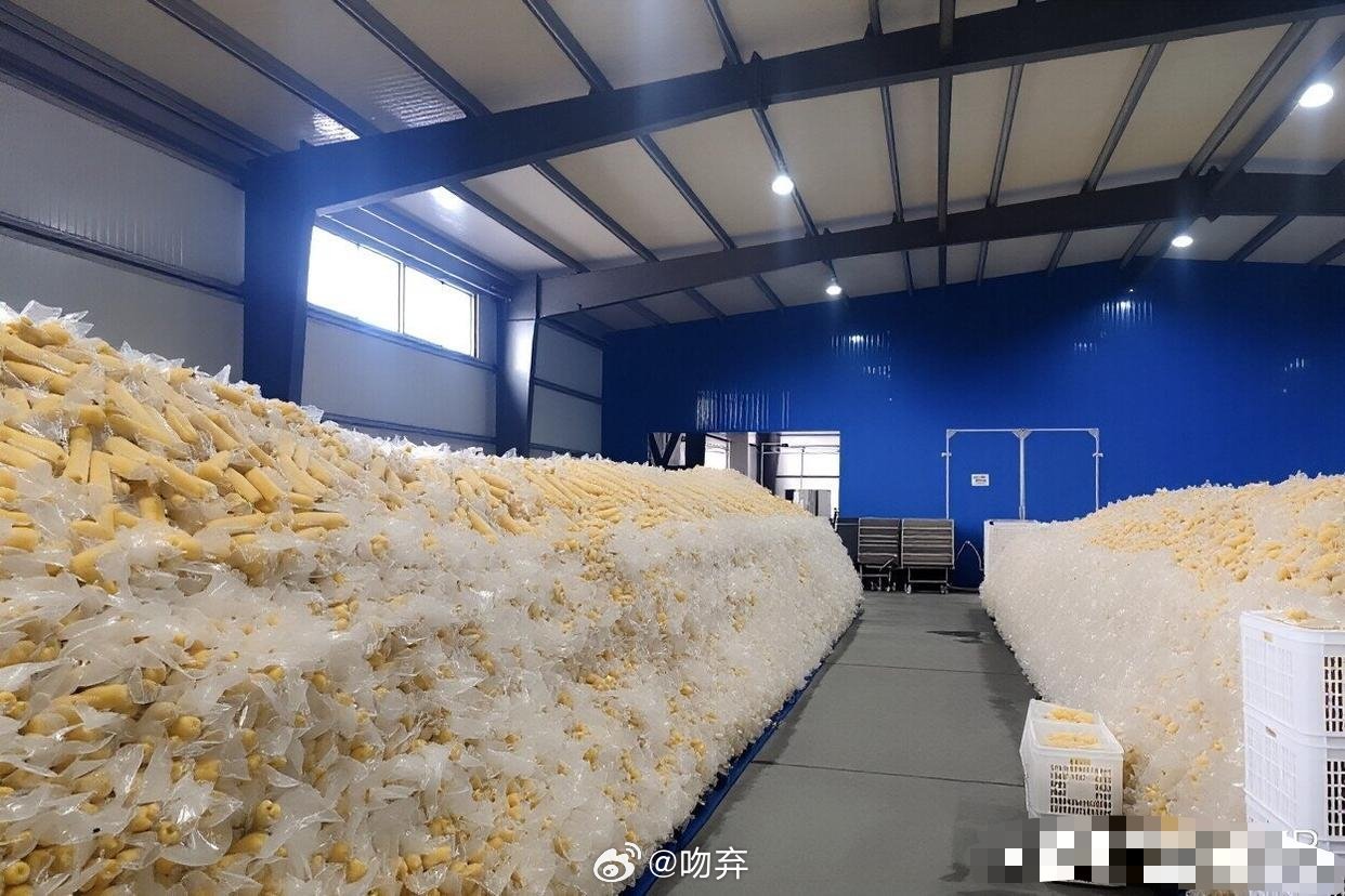 我的天啊，看到这，大家还敢买吗？？？