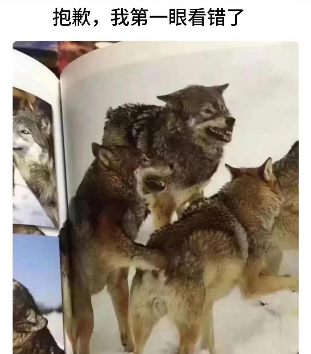 我也看错了，谁画成这样的