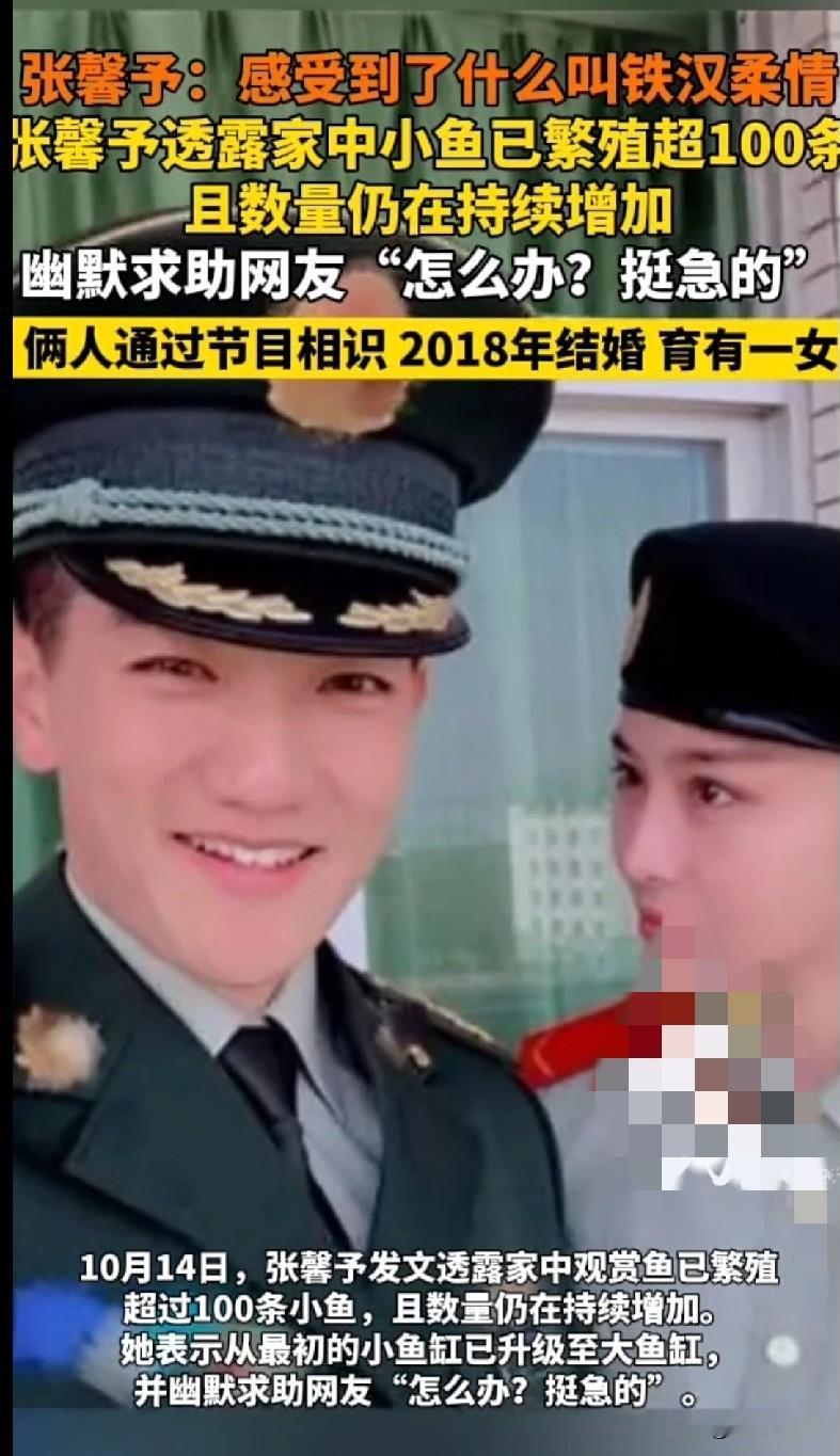 家人们快来看张馨予家的鱼！直接繁殖到“鱼丁兴旺”超100条，从小鱼缸换到大鱼缸还