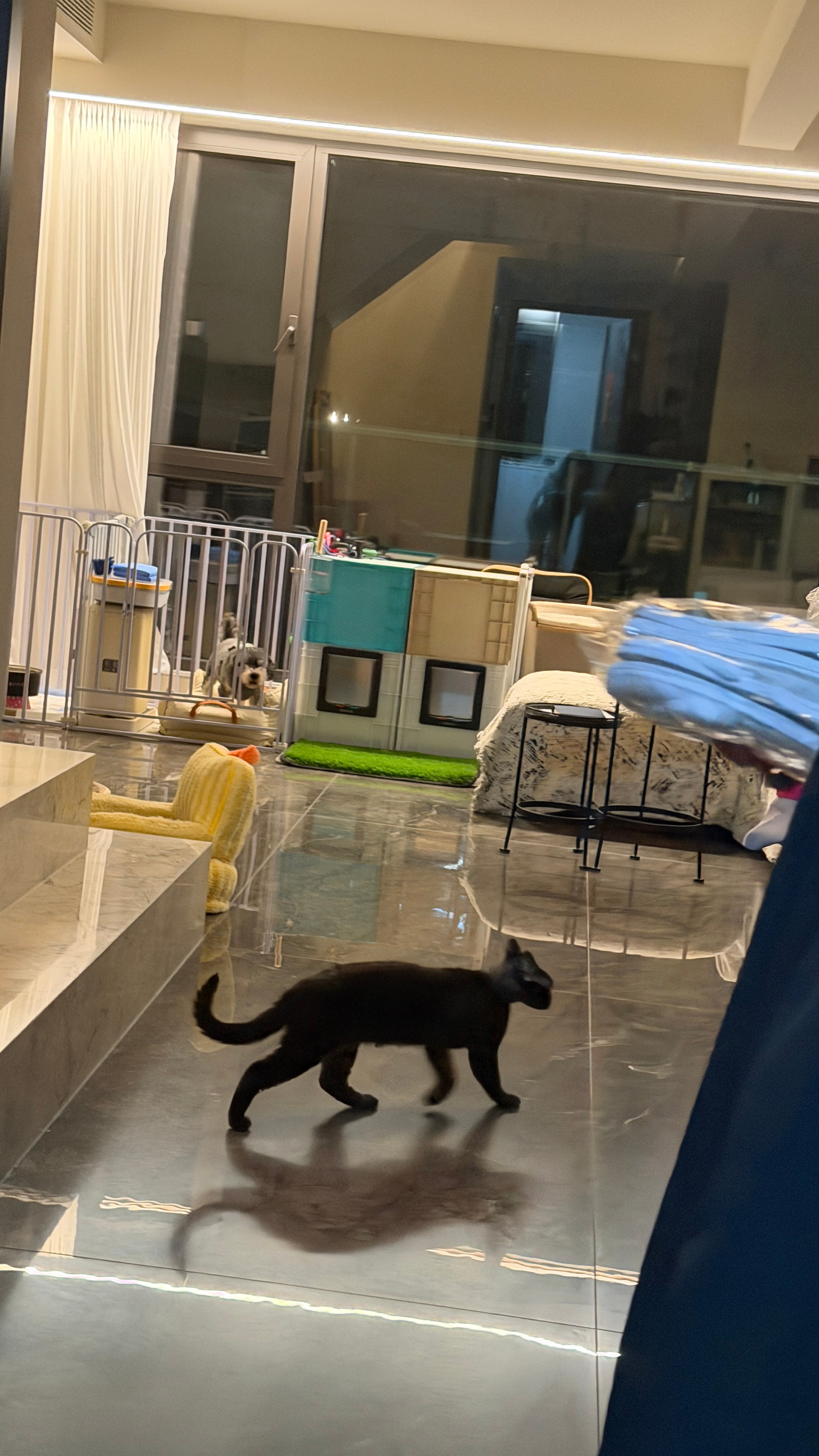 来朋友家，拉她连夜开车去海边她家也太好了吧！！！梦中情房🏠早知道早来了吃个烤红