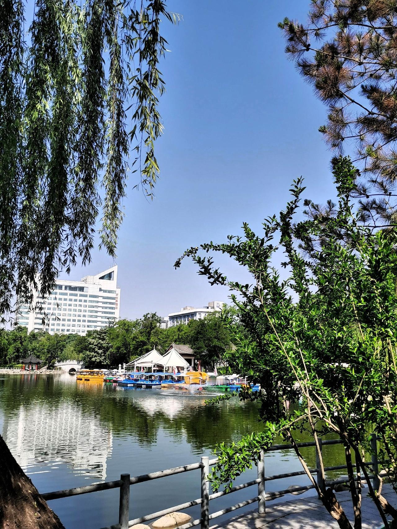 莲湖公园里一汪湖水晒图笔记大赛莲湖区公园美景西安湖打卡莲湖散步莲湖之春莲
