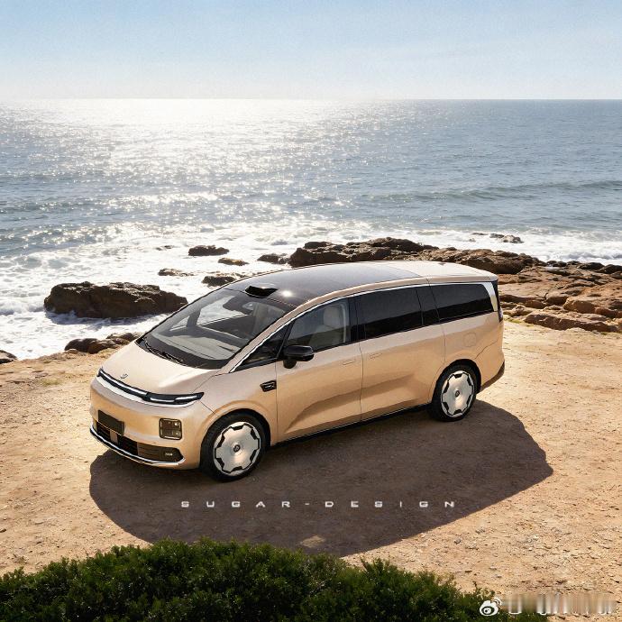 做的零跑D21MPV预览大家感觉怎么样？