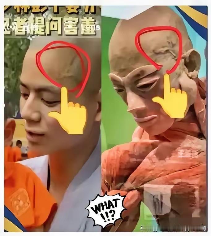 刚刷到有网友说，这位大体老师很像秋风。我担心有人P图，便自行搜索了一番，结果让