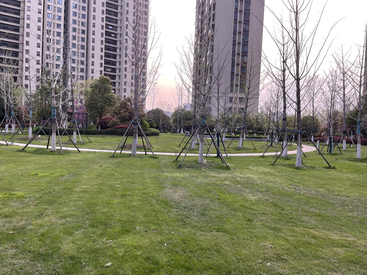我爸重度抑郁，我买了只金毛狗陪他，八个月后他崩溃来电：儿子，爸好了，这祖宗再不送