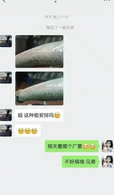 现在连鱼都要打螺丝了？