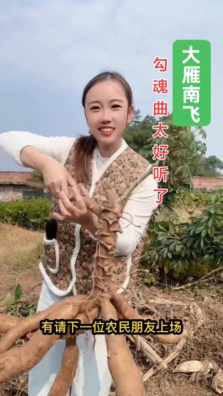大雁南飞勾魂曲太好听了。我们用热情的掌声有请下一位农民朋友上场，他唱的太到位了