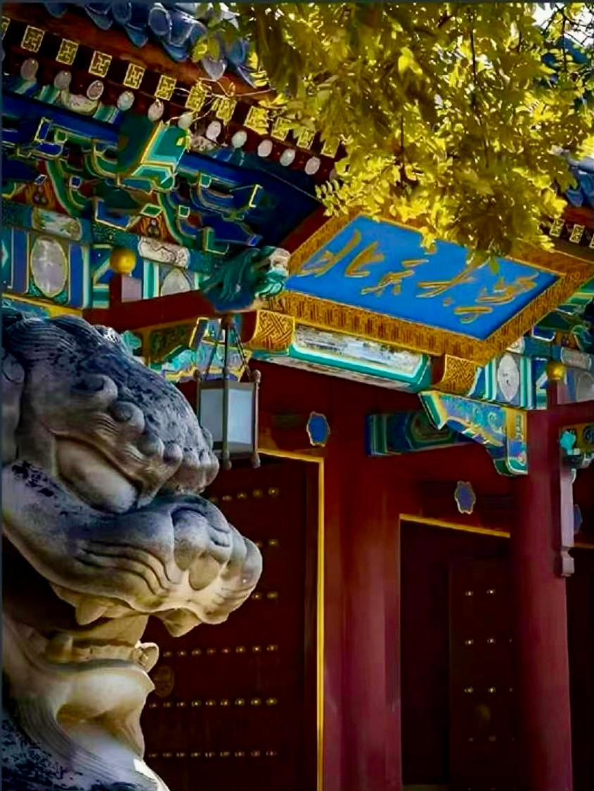 北京大学官网：一名书记，一名常务副书记，四名副书记。一名校长，一名常务副校长，四