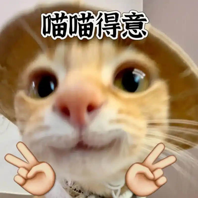 王科真是太棒了！！！