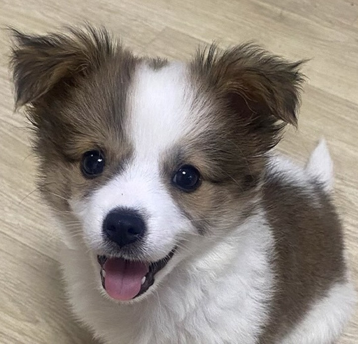 眼神好清澈的宝宝