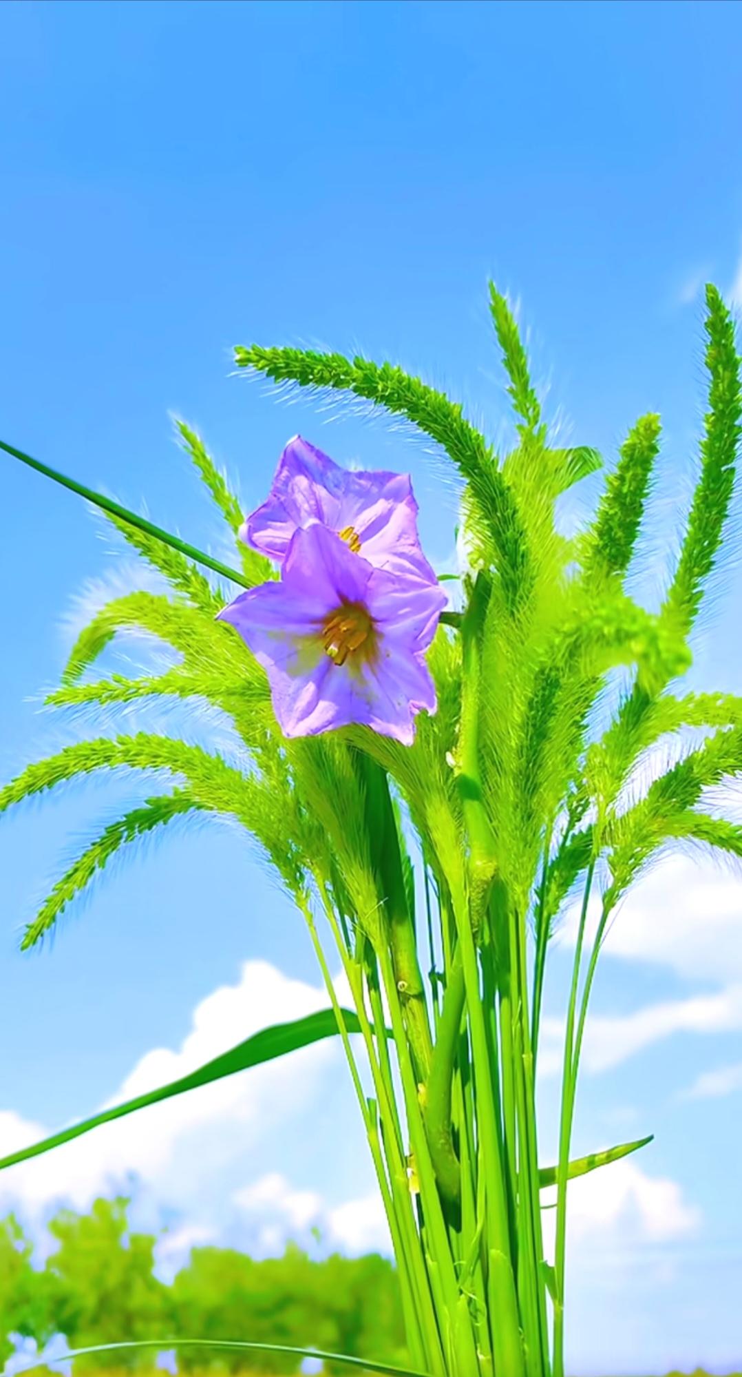 请记住余生不要和任何人争辩？你一定要记住余生不要和任何人争辫。哪怕别人说1加1