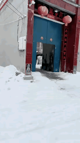 你们那里把这种叫什么？[doge]