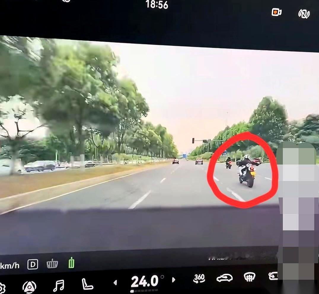 前一秒，她在南京街头强行变道，把正常直行车主的车窗敲得砰砰作响；后一秒，她连夜把