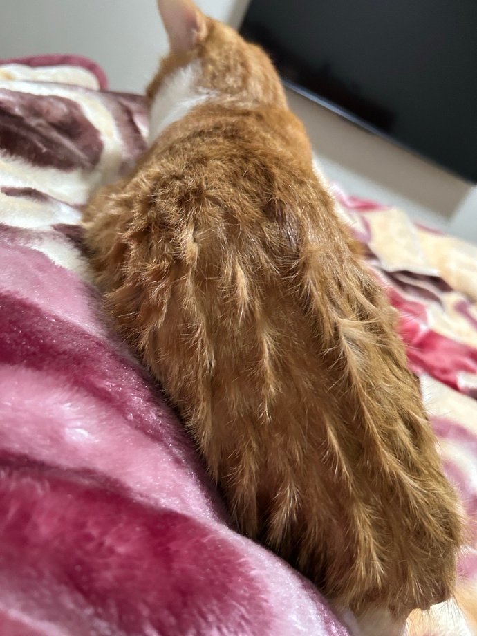 警惕！百分百聚酯纤维，你的健康隐患？