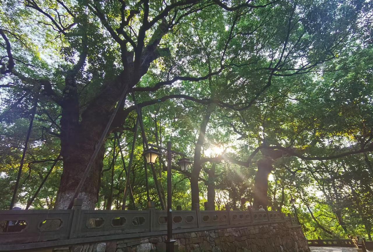 人到底该比自己还是比别人？我觉得还是和自己比靠谱。生活里好多人热衷于和别人