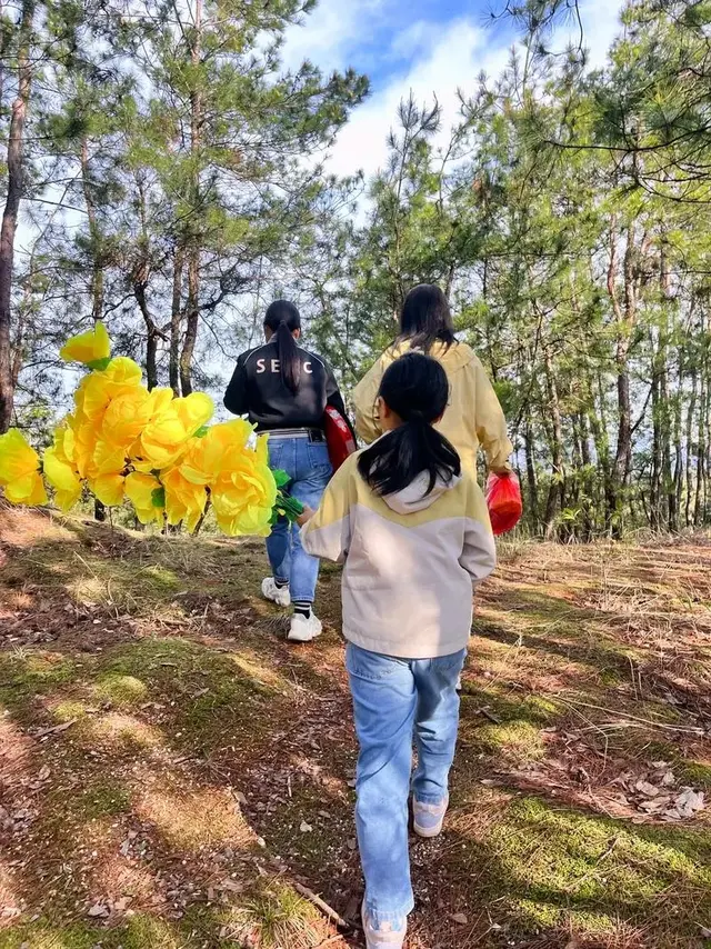 “双春闰月不上坟”, 今年清明节要注意些什么? 这样做最妥当