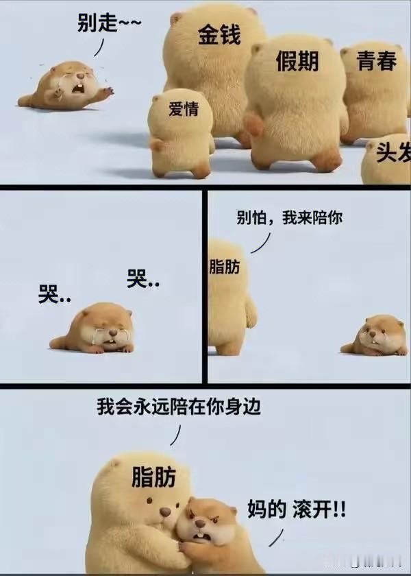 我想要的，和我拥有的[捂脸哭]