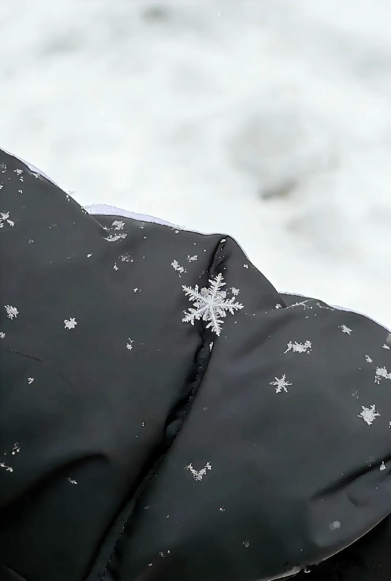 这是一片很雪花❄️的雪花，多一点不叫完美，少一点都是不足。白的一尘不染一