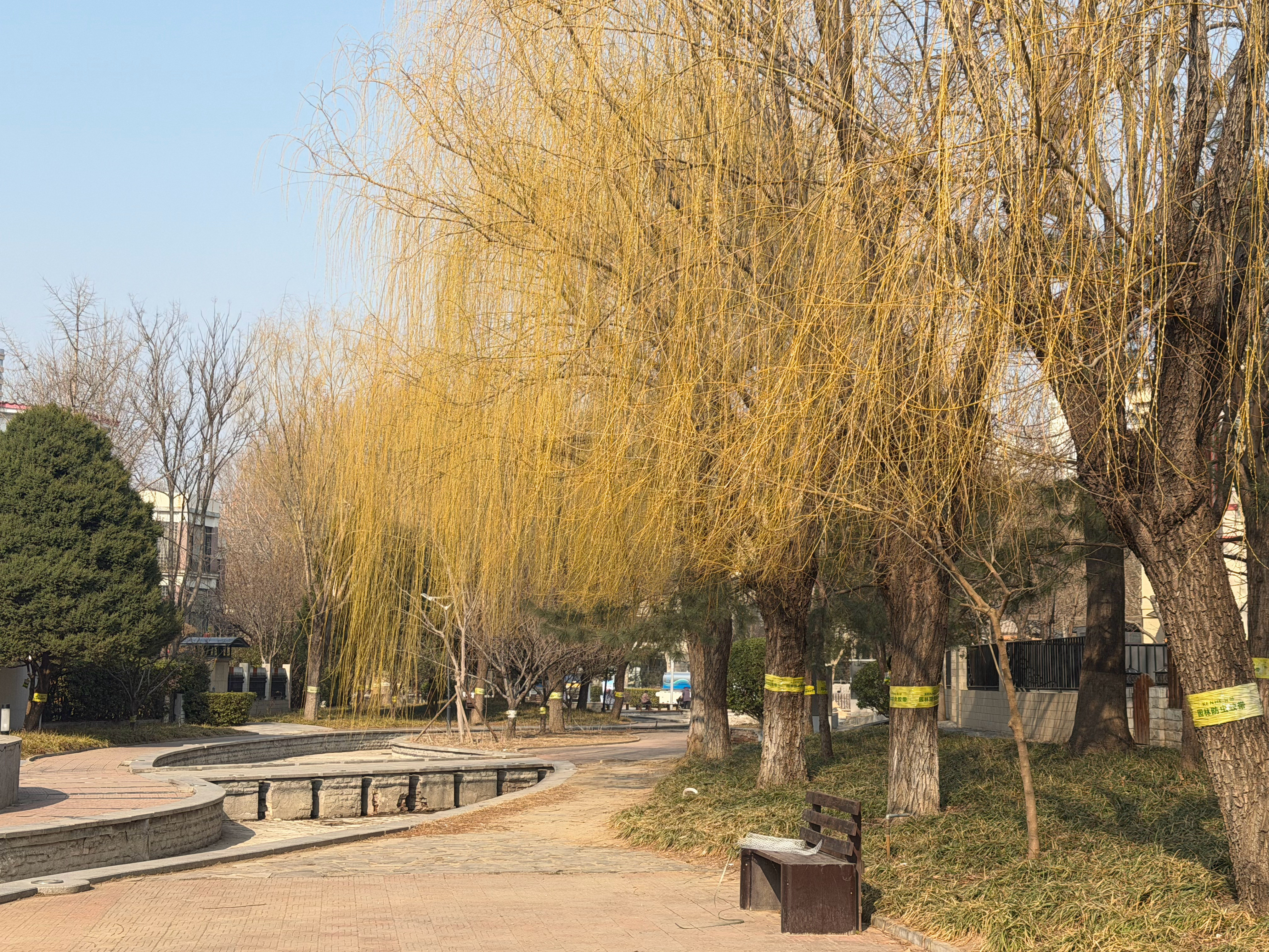 风是甜的，阳光是暖的，春天是你的。