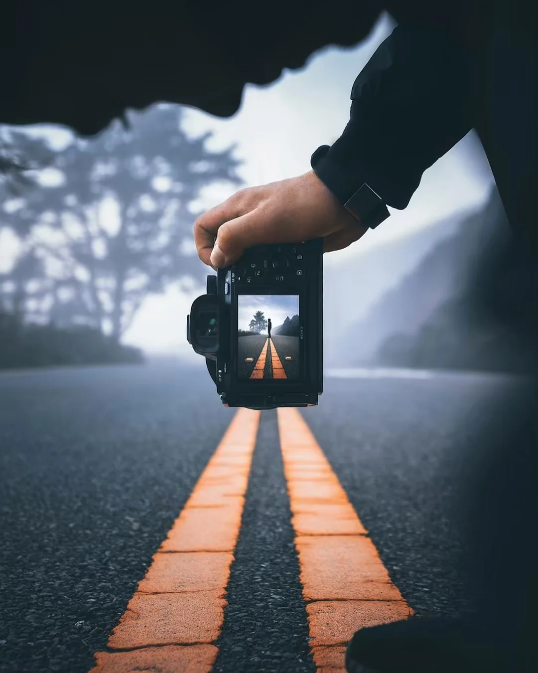 突然好想交人摄影，有人吗？？