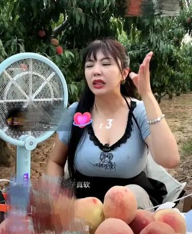 台胞小网红刘乐妍近日发表的一番言论引发讨论！她表示：“为什么我越往大陆农村走