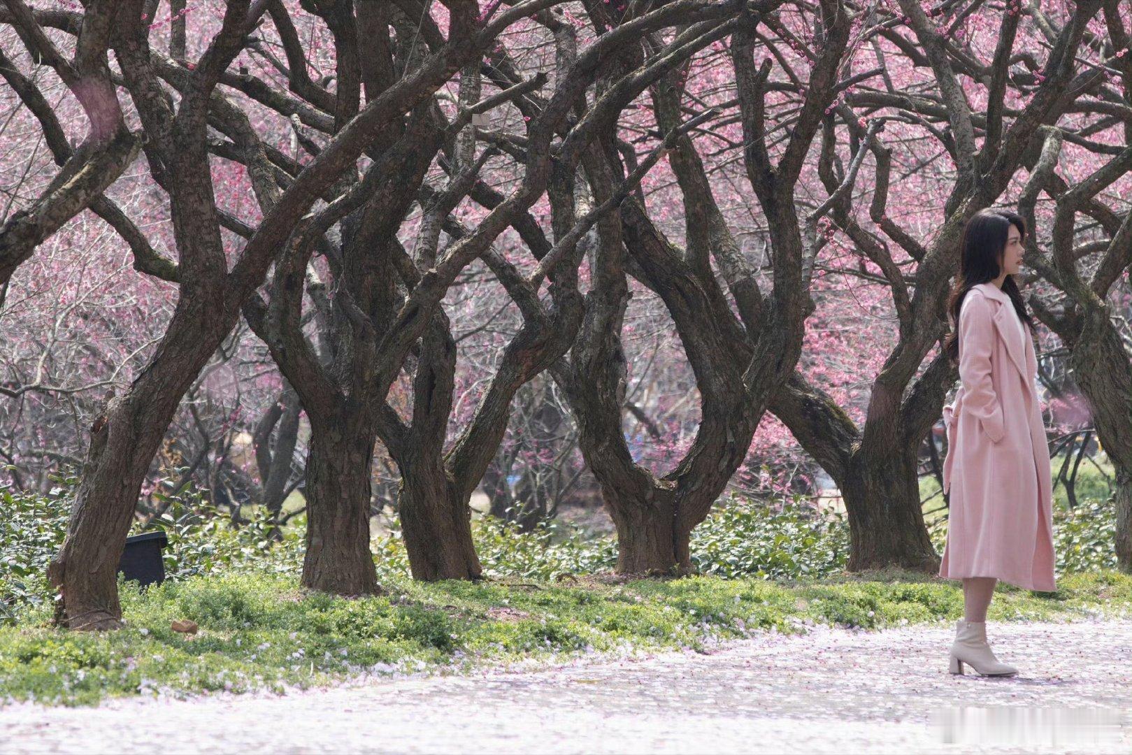 赵今麦演的聂曦光穿着好朴实，像不像意气风发的大小姐？