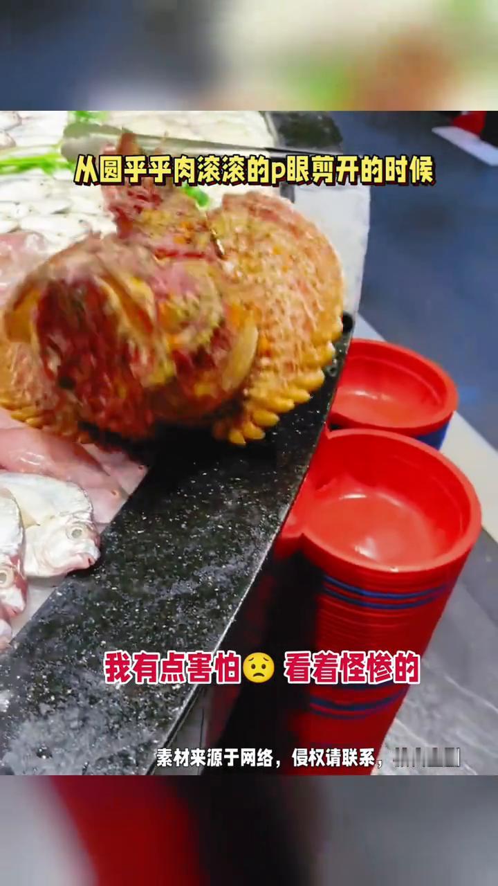 从圆乎乎肉滚滚的p眼剪开的时候，我有点害怕，看着怪惨的。抹脖子，完之后把上面的