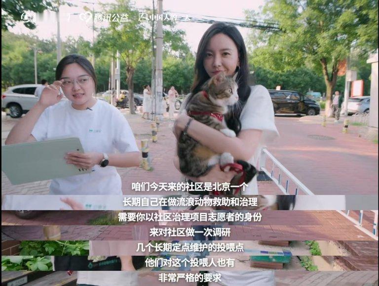 于文文呼吁不要残忍抛弃宠物志愿者称60%流浪动物熬不过北方冬天看了于文文发的那