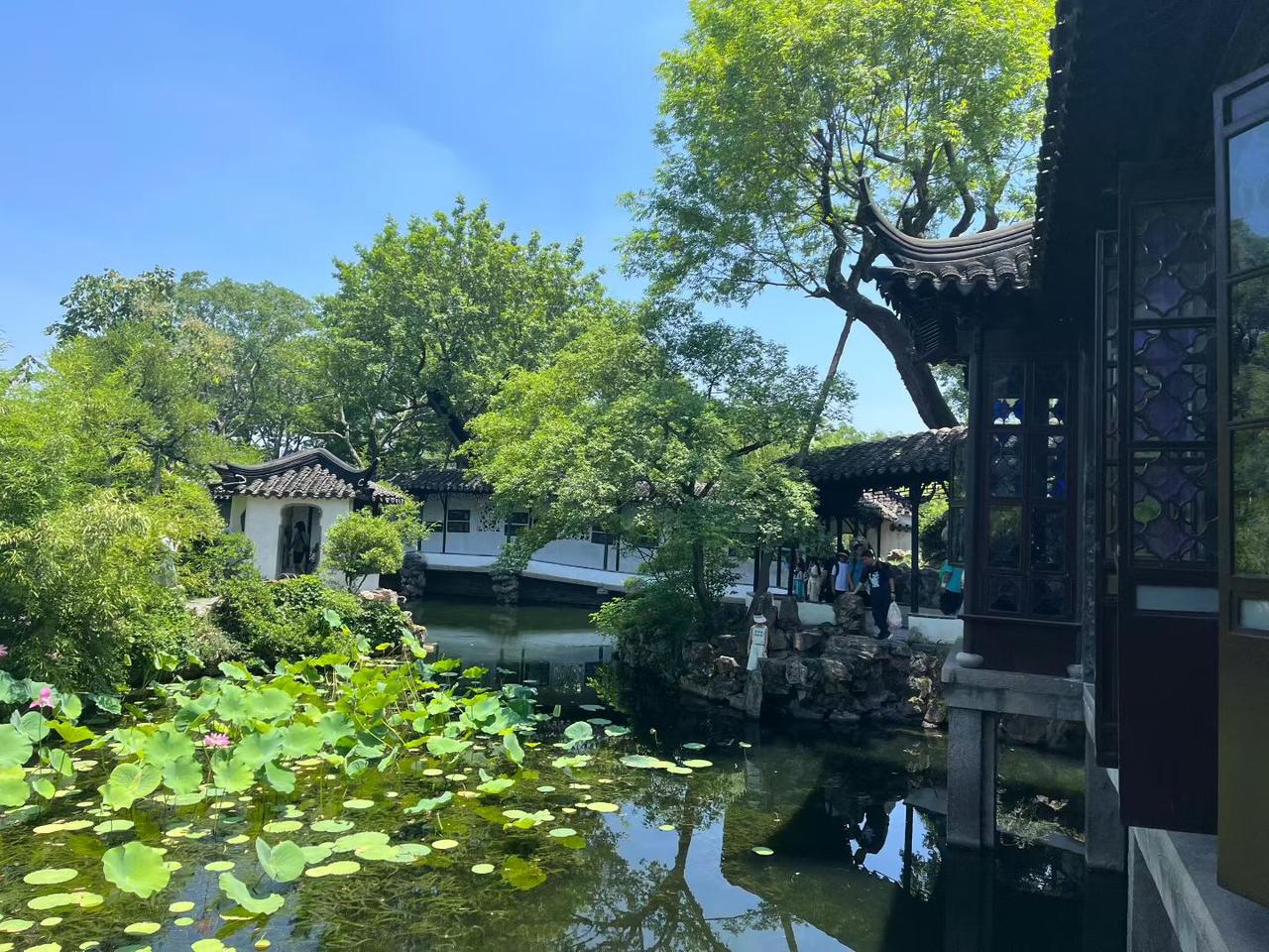 电视出现吻戏时要不要支开孩子？上初中女儿的回答：为什么一到这种桥段你们就故意