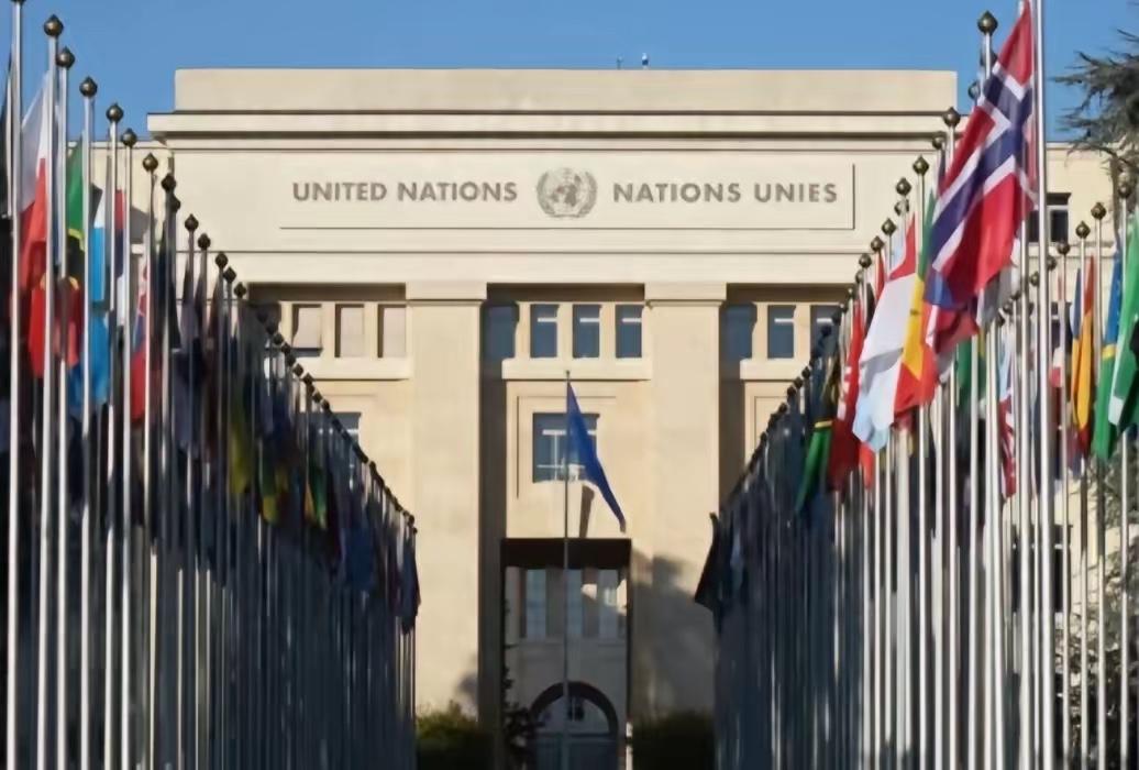 联合国根本就不理我们，不管中国要求申请联合国什么事情，联合国都不爱搭理中国，只有