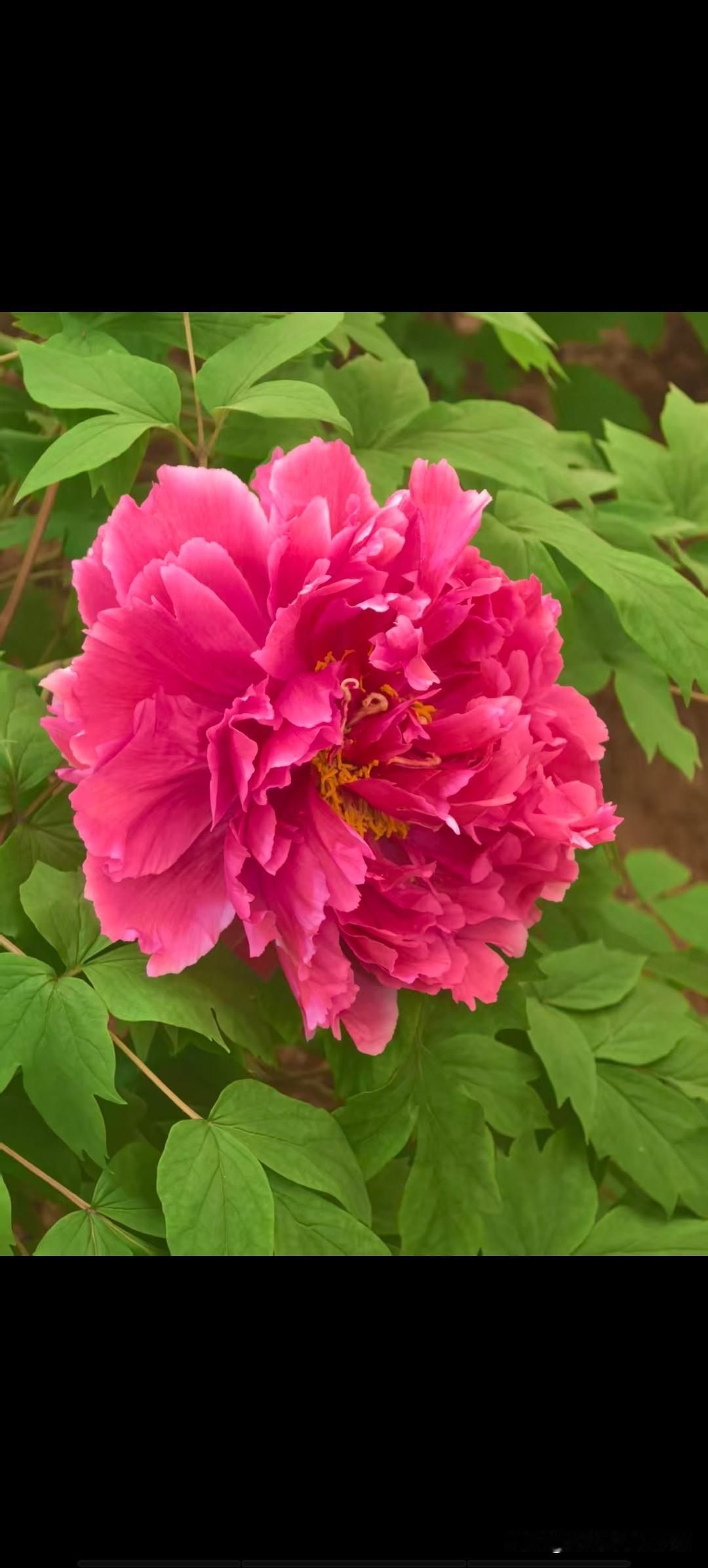 2026年，钱越来越难挣了奉劝大家一定要看完这10条​1:不乱买衣服裤子，一