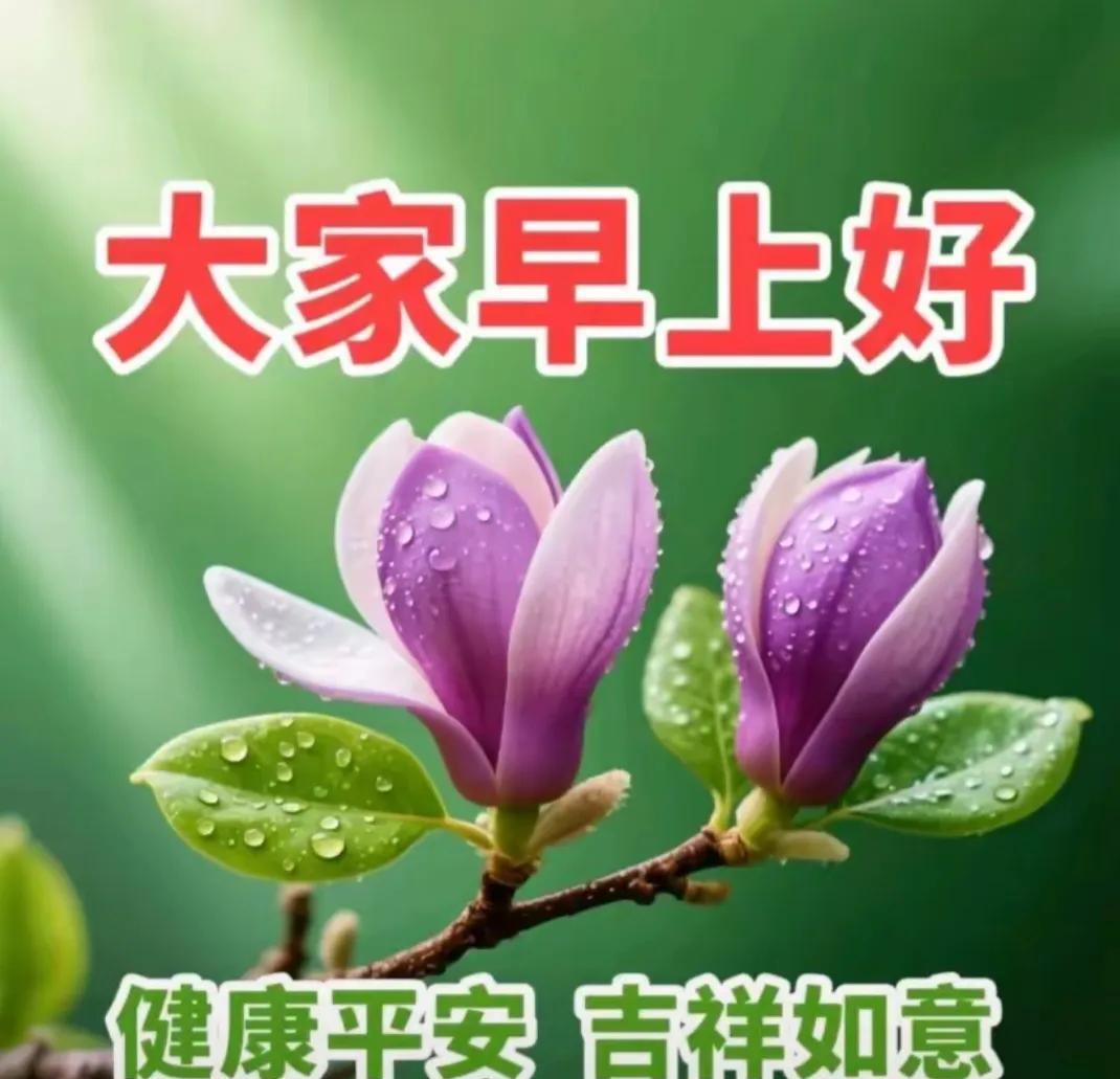 新的一天开始了，愿大家健康与您相伴，快乐与吉祥相随，早上好呀，友友们！#清晨第一