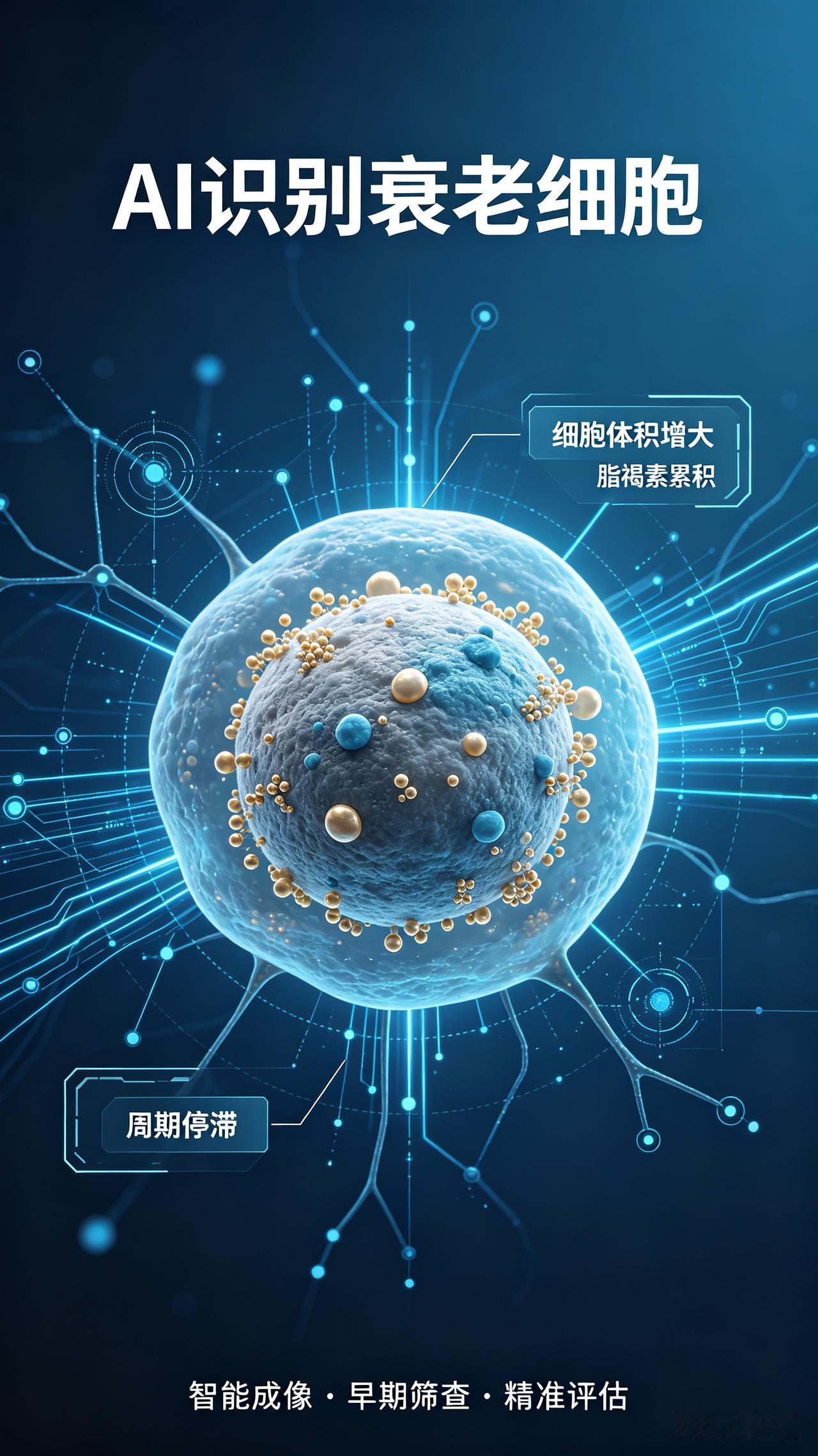新闻正文细胞衰老逆转瞬间衰老技术（9月23日，属实，美国麻省理工学院研究团队