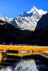 这段“心态文案”刷屏全网：越往后走，越懂心稳才是真赢家最近一段讲心态的文字