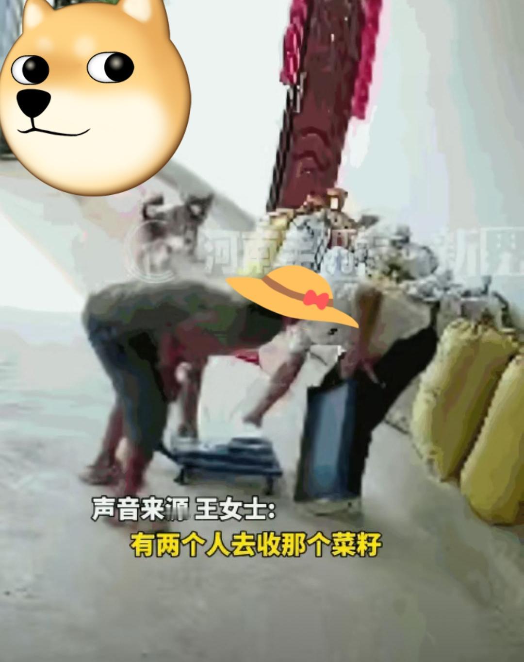 秤杆不公，天理难容。5月11日，四川资阳，一位聋哑老人带着将近一千斤的菜籽去卖，