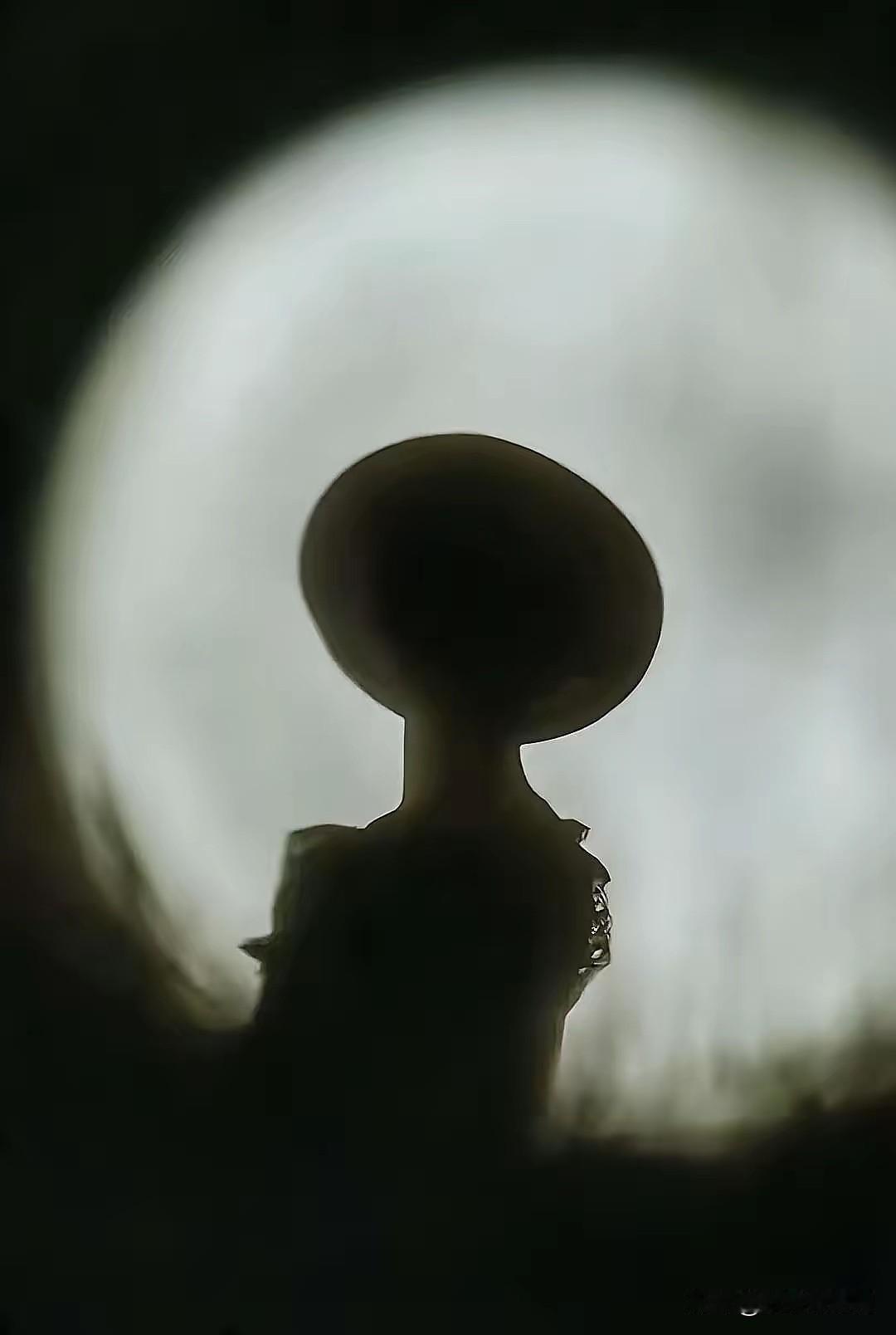 今夜新疆不眠！娇龙同志，此时是2026年1月15日凌晨四点，手机屏幕还亮着新华社