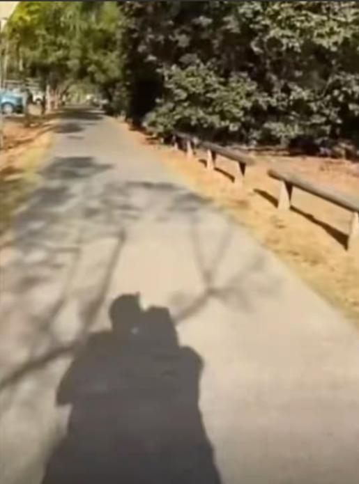 国庆假期，冯琳在澳洲昆士兰旅行，一张双人剪影照片引发网友热议，不少人好奇同行男士