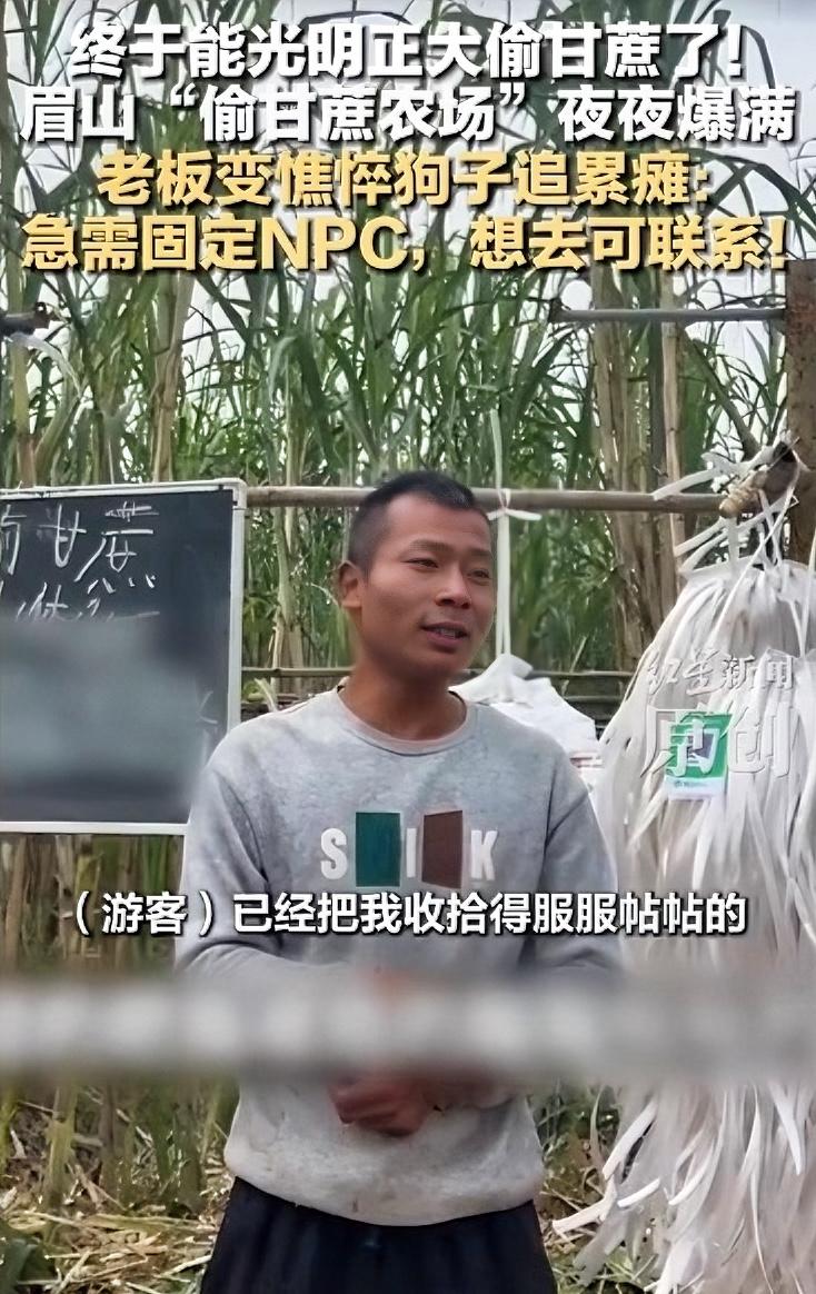 有一说一甘蔗农场的老板还是太实诚了！现在自己累到憔悴不说，就连自己家里养