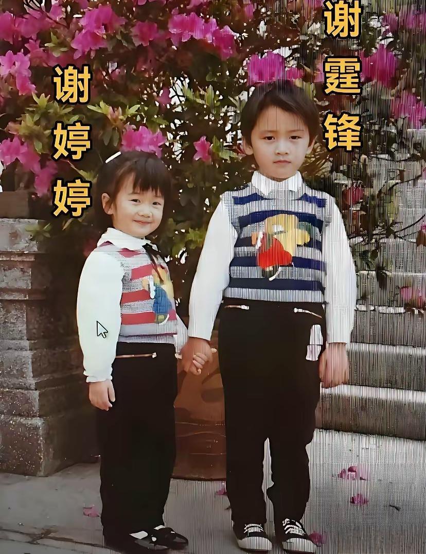 谢霆锋与谢婷婷儿时旧照，基因真是一门玄学。谢霆锋五官精致，长相遗传妈妈狄波拉；