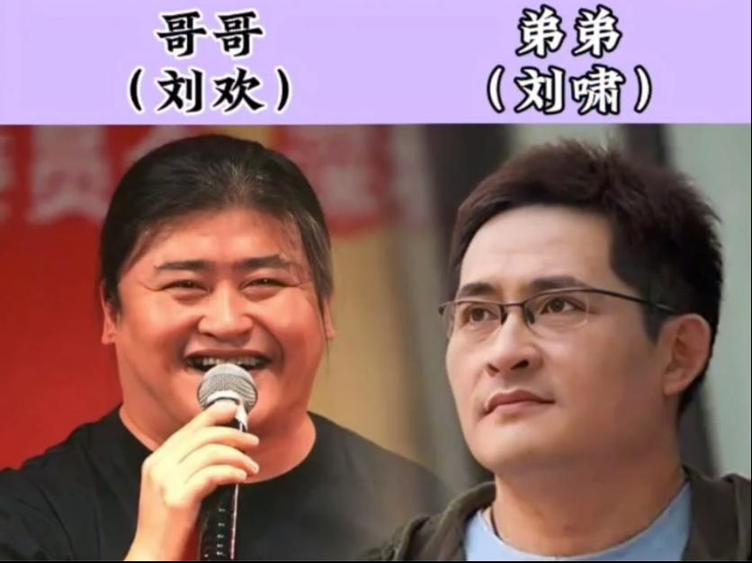 一起闯荡演艺圈的明星兄弟，同样的起点却活成了截然不同的两种人生，人生差距却越拉越