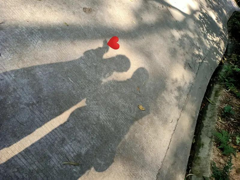 相爱的人错过了，肯定会遗憾啊。就像有些星座，一直在错过真爱。双子座贪恋新鲜感，像