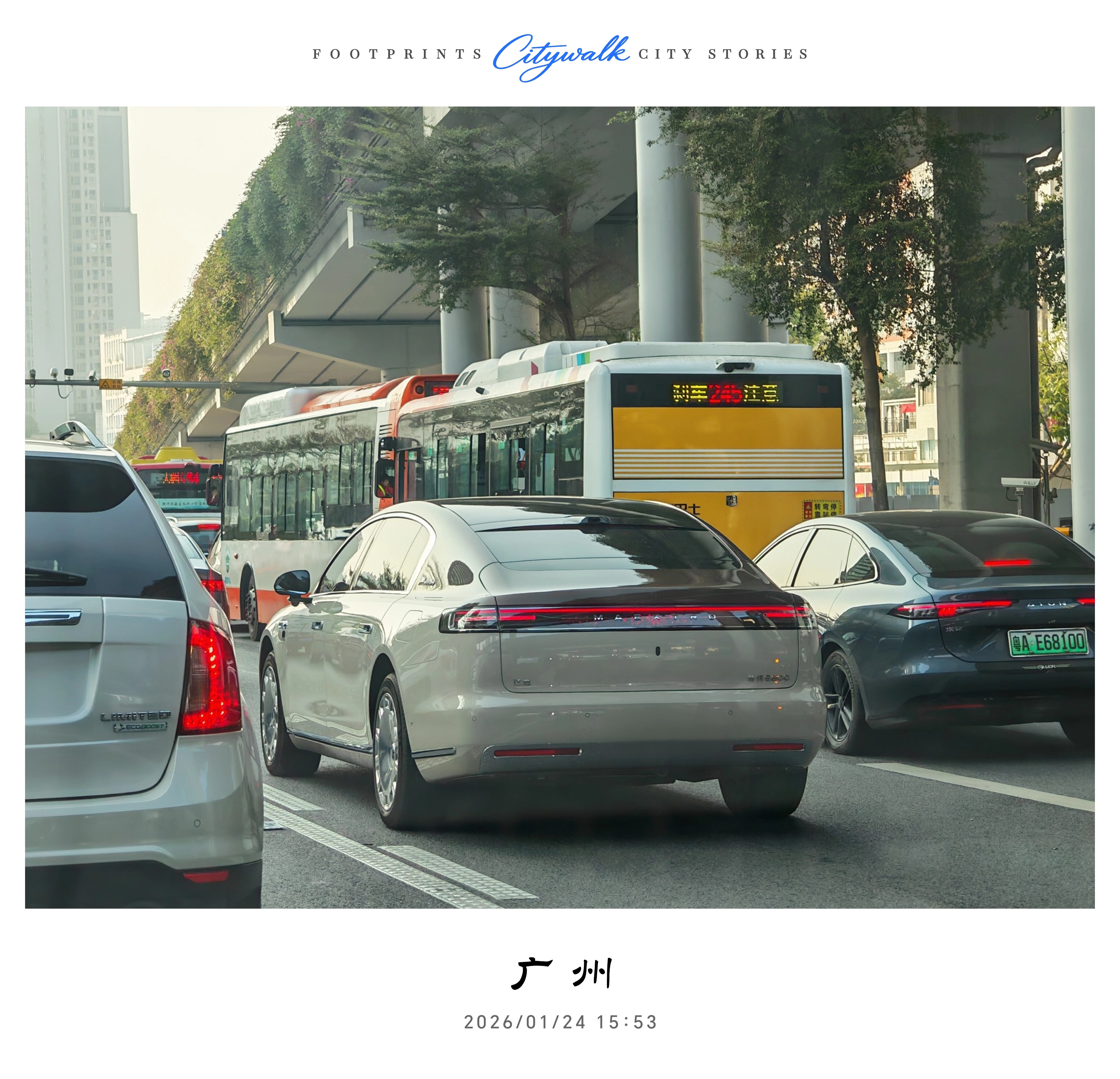 路上的尊界真是越来越多了，作为一个新品牌，销量就是其产品力的最佳印证，出道即巅峰