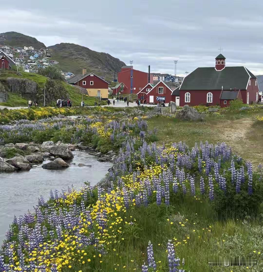 格陵兰岛冰雪覆盖，鸟不拉屎，全岛只有几棵小白桦，小柳树，歪歪扭扭的长不高，鱼比