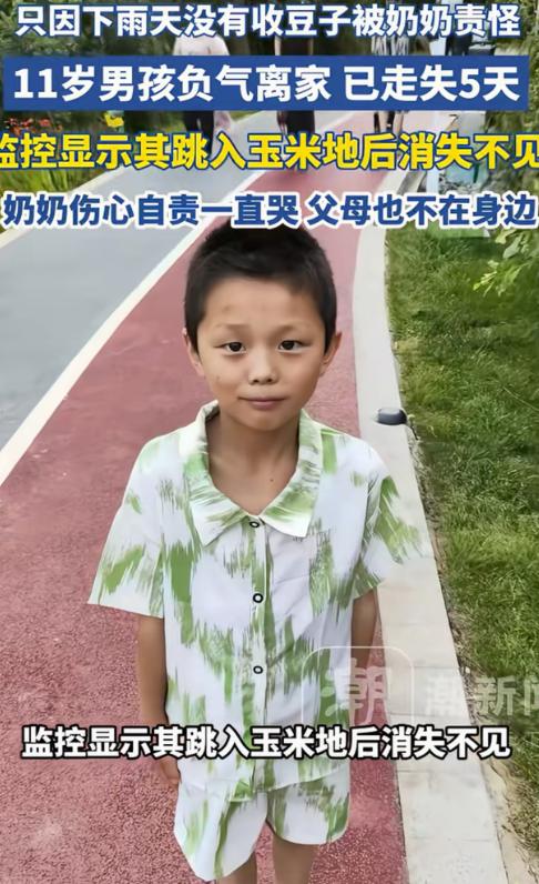 担心的事情还是发生了！云南昭通，11岁男孩因为忘了帮奶奶收豆子，被奶奶痛骂，