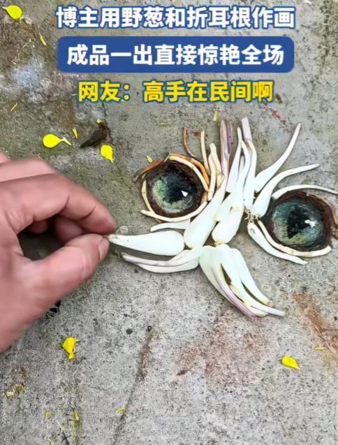 果然是高手在民间啊！一把野葱、一把折耳根，随手一摆就拼出只活灵活现的小猫咪，