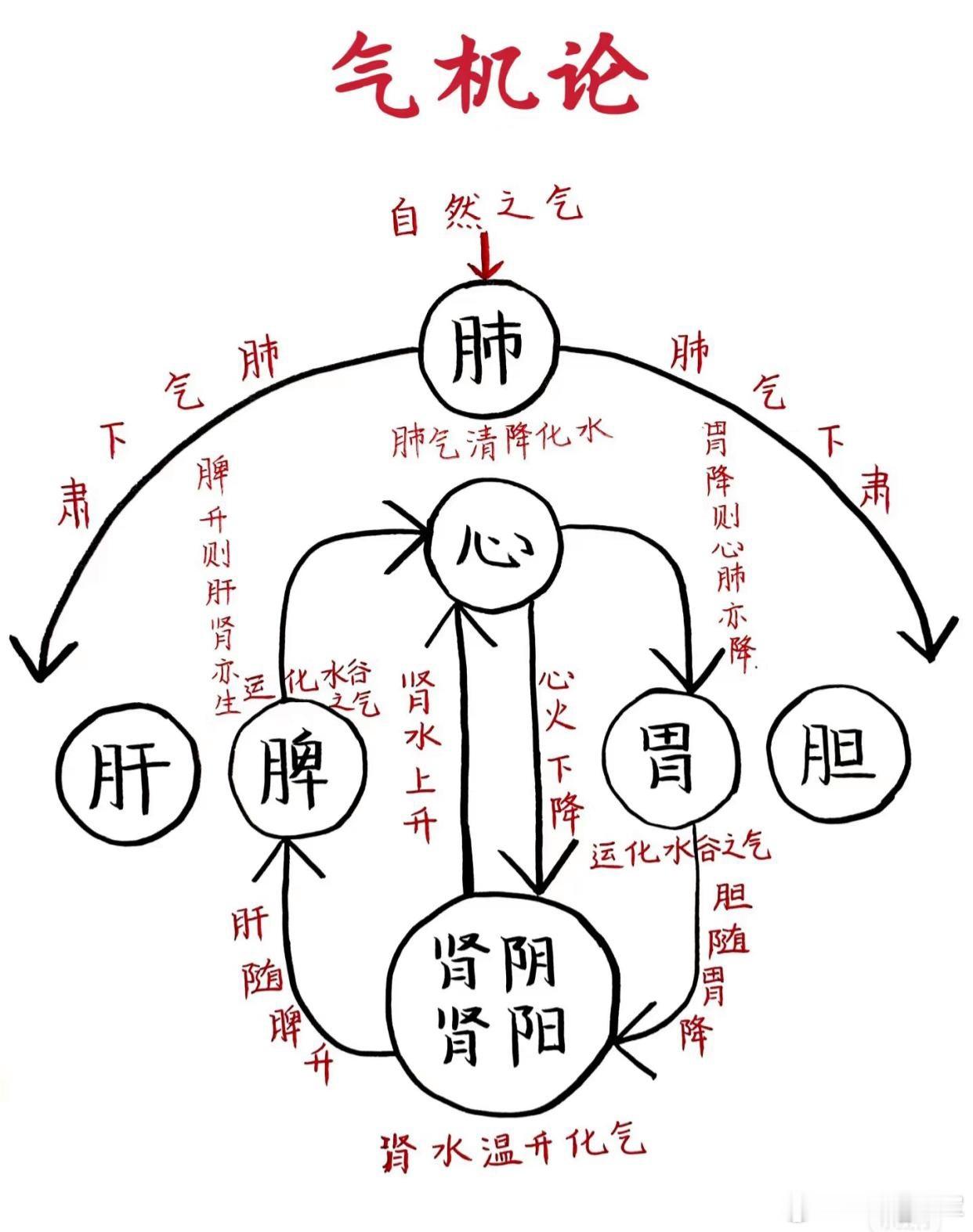 清阳升、浊阴降、脾胃和！一处方子带你轻松破解！升清降浊汤[加油]升清降浊汤它主要