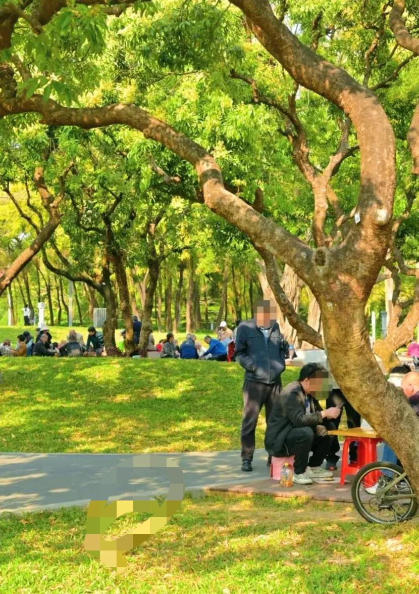 楼上的李大爷67岁了，昨天刚和老伴离婚了。六旬大爷的离婚证：43年婚姻散场后