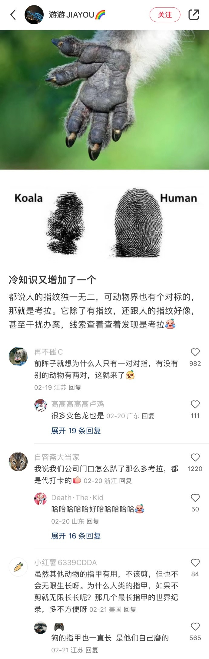 开眼了中国网友永远都有新思路...​​​